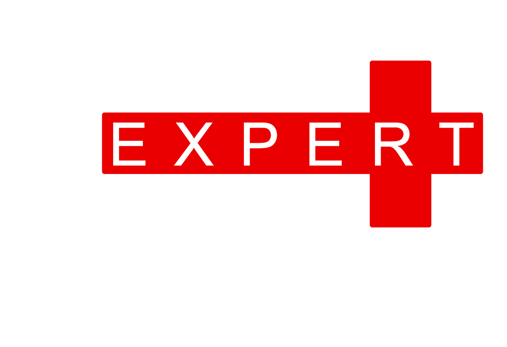 Swiss Expert Services Logo